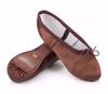 Picture of Satin Aspire Ballet Shoes Adult