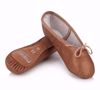 Picture of Leather Aspire Ballet Shoe Adult
